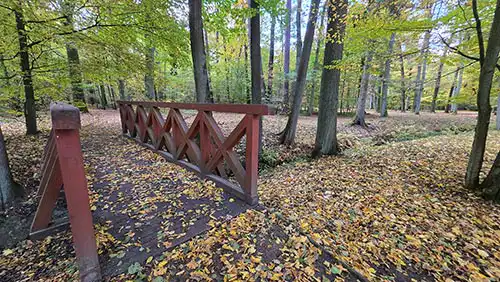 Drewniany, brązowy mostek nad strumieniem w jesiennym parku krajobrazowym otaczającym Pałac Radziwiłłów.
