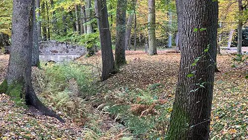 Jesienny park krajobrazowy w Antoninie z zagłębieniem terenu porośniętym paprociami i widocznym w głębi kamiennym mostkiem.