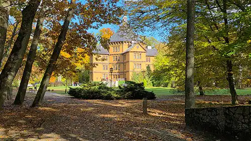 Pałac Myśliwski Radziwiłłów w Antoninie w jesiennym słońcu, widoczny przez gęsty szpaler pni drzew w parku.