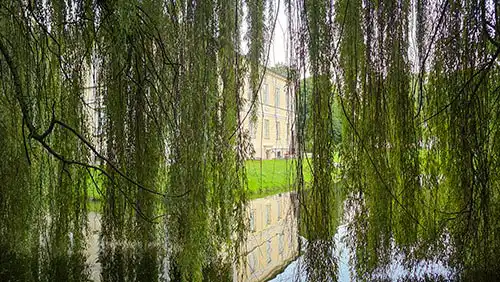 Pałac w Dobrzycy odbijający się w stawie widziany przez zasłonę gałęzi wierzby płaczącej.