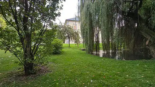 Zielony trawnik i staw otoczony drzewami w parku krajobrazowym Pałacu w Dobrzycy.