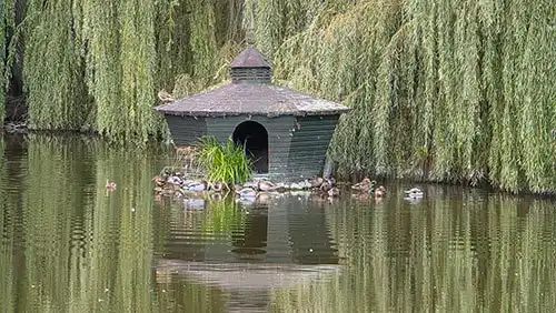 Drewniany domek dla kaczek na stawie w parku krajobrazowym Pałacu w Dobrzycy.