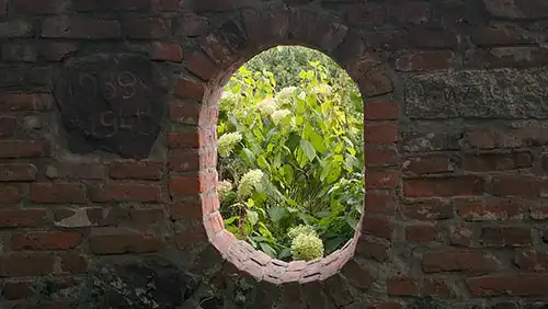 Okrągły otwór w historycznym murze z cegły, przez który widać bujny krzew z kwiatami w parku w Dobrzycy.