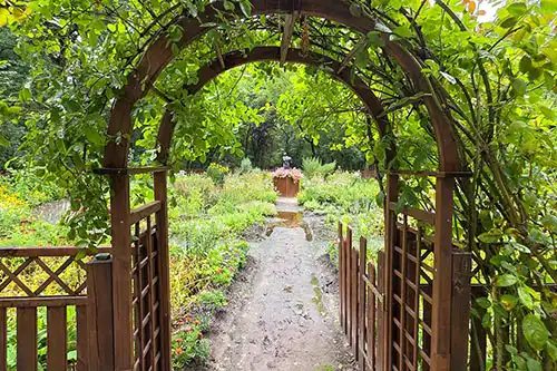 Wejście do stylizowanego Ogrodu Zosi w parku Pałacu Śmiełów: drewniana pergola porośnięta pnączami.