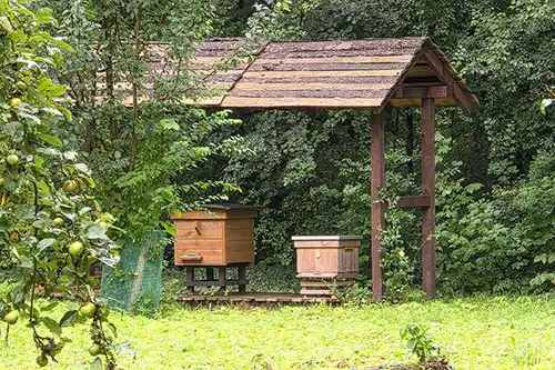 Drewniana pasieka z ulami pod małym zadaszeniem, umiejscowiona wśród gęstej zieleni parku Pałacu Śmiełów.