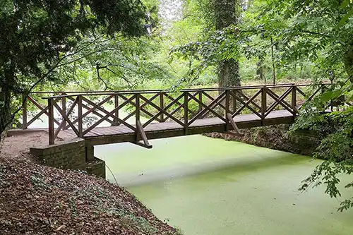 Drewniany mostek z kratownicową balustradą nad ciekiem wodnym pokrytym rzęsą w parku Pałacu Śmiełów.