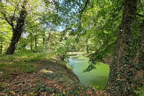 Podłużny, zacieniony ciek wodny otoczony starodrzewiem w zabytkowym parku przy Pałacu w Śmiełowie